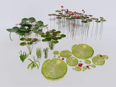 Various Aquatic Plants With Lily Pads Green Leaves And Pink Blooms 3d model