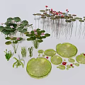 Various Aquatic Plants With Lily Pads Green Leaves And Pink Blooms