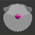 Stylish Transparent Shell Fashion Accessory Featuring Pink Sphere Decorative Base Design