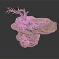 Naturalistic Scene Component With Layered Rock Base Dry Tree Branch And Roots