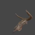 Animal Skull With Large Curved Horns Natural Brown Decorative