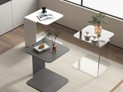 Modern Interior With Metal Frame Gray White Transparent Side Tables Small Plants Coffee Cup Magazine 3d model