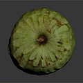 Custard Apple With Green Textured Skin And Small Stem On Dark Background 3d model