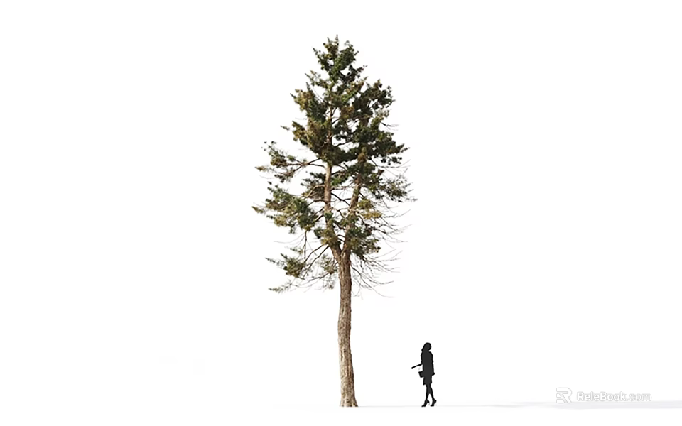 Tall Arbor with Lush Green Foliage and Person Walking on White Snowy Ground 3d model 