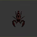 3D Rendered Red and Black Scorpion With Detailed Body Structure on Dark Background