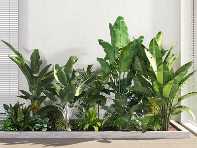 Indoor Bonsai Potted Plants With Various Green Species And Large Lush Leaves 3d model