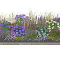 Vibrant Mixed Purple Pink White Flowers And Grasses In Garden Planter