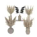 Decorative Ornament Set with Pampas Grass in Various Designed Vases Neutral Tones Home Decor