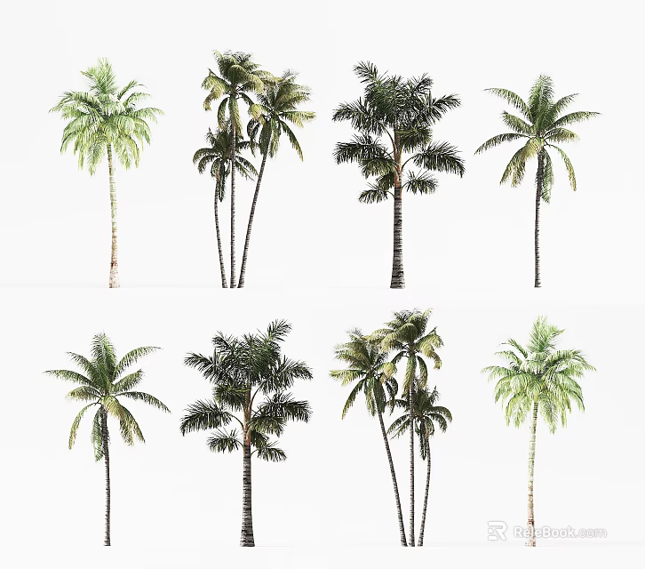 Different Palm Tree Varieties in Modern Tree Planter for Garden Landscaping 3d model 