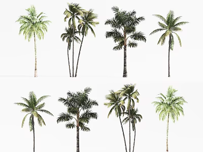 Different Palm Tree Varieties in Modern Tree Planter for Garden Landscaping 3d model