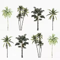 Different Palm Tree Varieties in Modern Tree Planter for Garden Landscaping 3d model