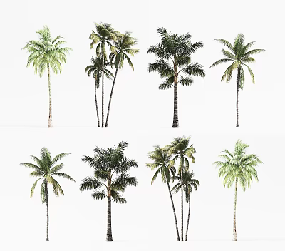 Different Palm Tree Varieties in Modern Tree Planter for Garden Landscaping 3d model