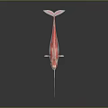 Shiny Red Narwhal With Long Tusk And Reflection On Dark Surface 3d model