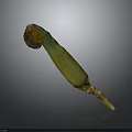Fresh Yellow and Green Corn Cob With Green Husk and Golden Silk Isolated on Dark Background
