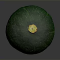 Fresh Green Pumpkin With Striped Surface And Yellow Stem As Organic Vegetable
