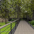 Modern Garden Landscape With Tall Trees Outdoor Seating Green Lawn And Building Surroundings