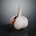 Fresh Partially Peeled Garlic Bulb on Dark Background with Reflection