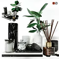 Daily Cleaning Essentials With Reed Diffusers Marble Jars Glass Bottles And Green Plants