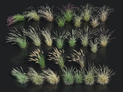 Diverse Herbaceous Plants With Various Colors Different Heights On Black Background 3d model