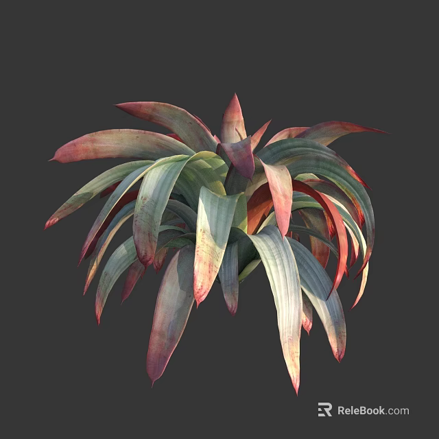 Healthy Succulent Plant With Vibrant Red And Green Fleshy Leaves In Rosette Shape 3d model 