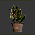 Snake Plant In Brown Clay Pot With Green And Yellow Leaves On Dark Background