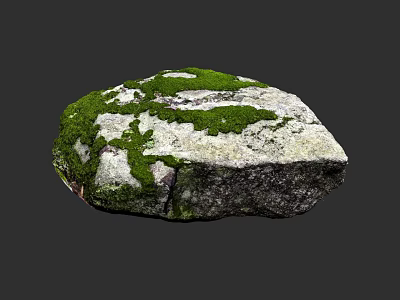 Natural Mossy Stone With Green Moss And Rough Surface For Decorative Use 3d model