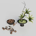 Minimalist Decorative Ornament Set With Green Plant Black Vase And Nut Bowl