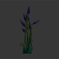 Botanical Plant with Purple Buds and Green Stems Growing Naturally