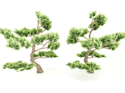 Two Evergreen Arbor Trees With Lush Green Foliage And Textured Trunks 3d model