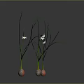 Leafy Plants With Slender Green Leaves White Flowers In Textured Spherical Pots On Gray Background