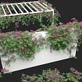 Lush Green Vines With Purple Flowers Covering White Decorative Trellis Structure