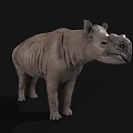 Gray Rhinoceros 3D Model With Detailed Skin Texture Isolated On Black