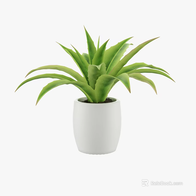 Green Leafy Potted Plant In White Smooth Cylindrical Pot With Lush Foliage 3d model 