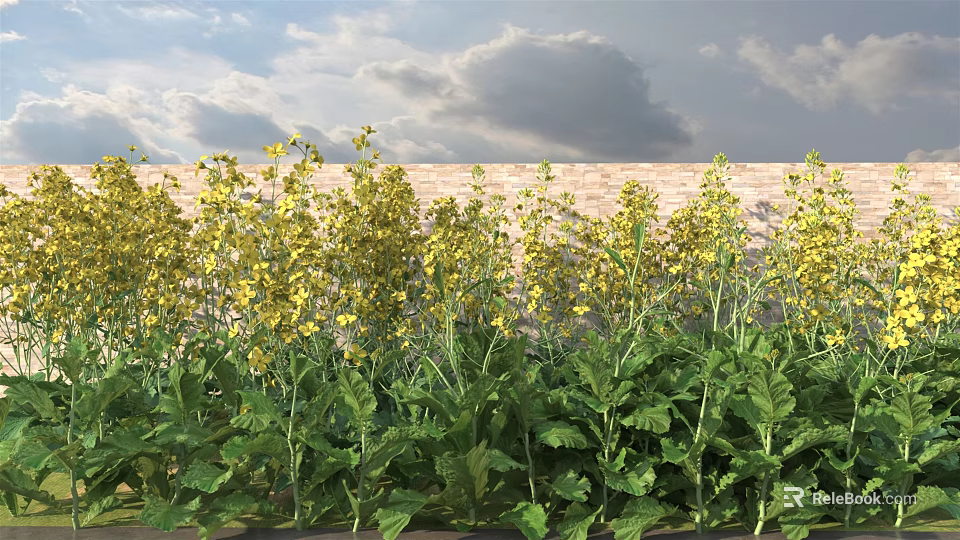 Vibrant Yellow Flowers and Green Leaves Growing with Blue Sky Clouds Near Earthen Wall 3d model 