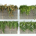 Different Types of Plant Combinations For Decorative Bamboo Fence With Hanging Vines And Flowers