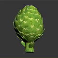 Fresh Green Artichoke With Tightly Packed Leaves On Dark Background