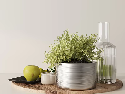 Stylish Decorative Ornament Set With Green Plant Silver Pot Transparent Glass Bottle And Wooden Tray 3d model