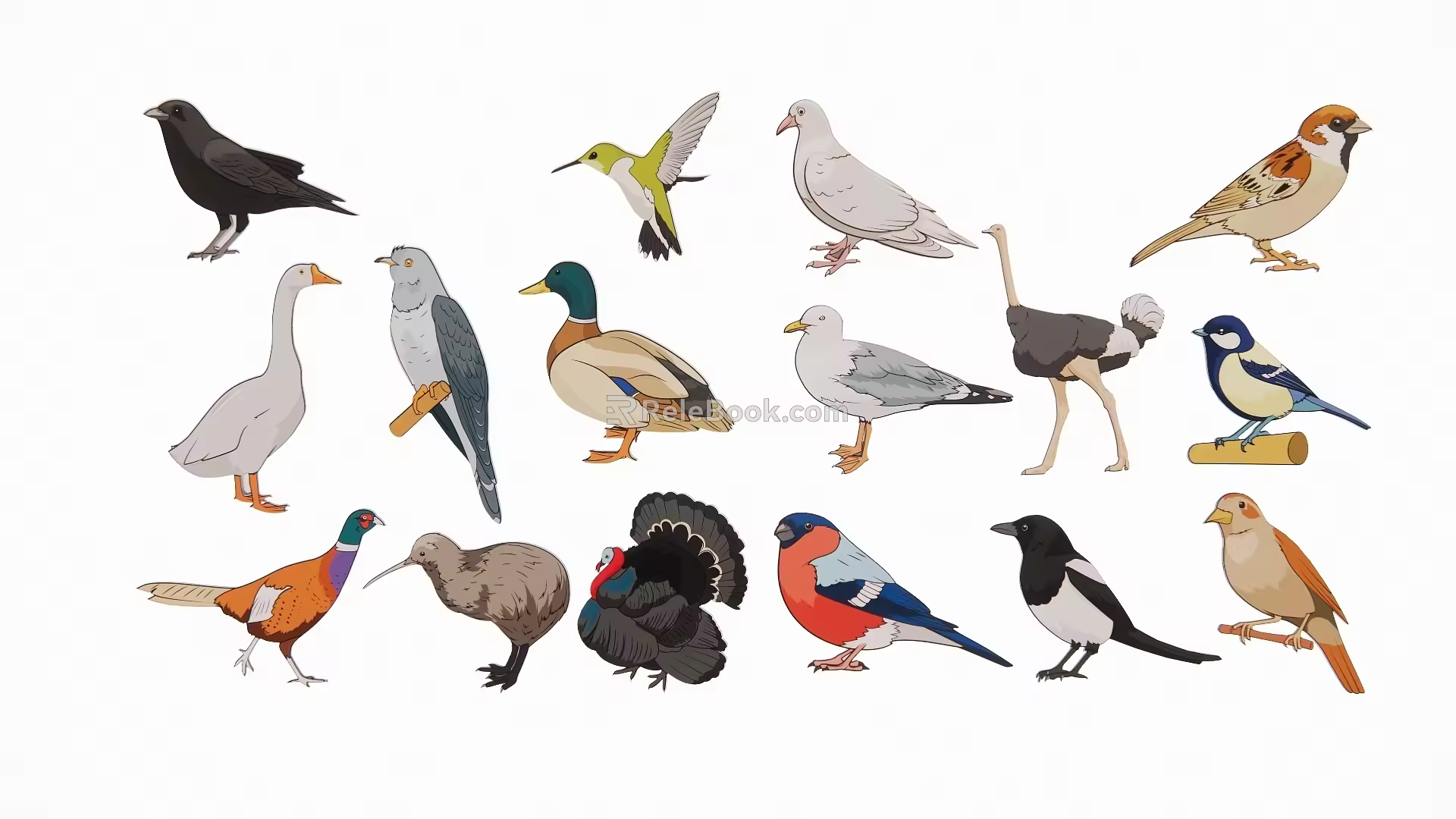 Modern 2D Birds Magpie Dove Sparrow Swift Silhouette 3d model