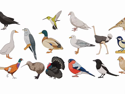 Diverse Bird Silhouettes Collection Featuring Various Avian Species And Wildlife 3d model