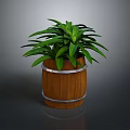 Wooden Barrel Planter With Lush Green Plant And Silver Metal Bands