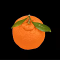 Fresh Ripe Orange Colored Citrus Fruit With Green Leaves And Stem On Black Background