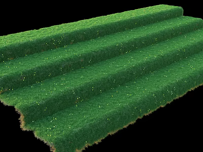 Lush Green Grass Covering Steps With Small Bright Spots On Surface 3d model