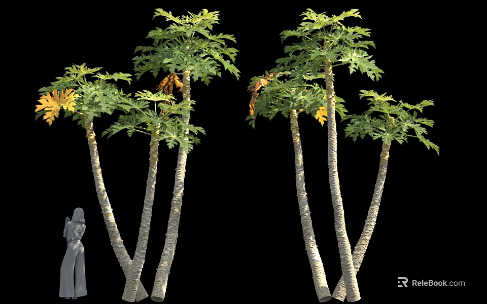 Tall Trees With Green And Yellow Leaves And Human Figure For Scale 3d model 