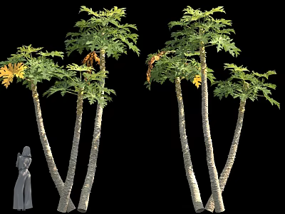 Tall Trees With Green And Yellow Leaves And Human Figure For Scale 3d model