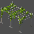Green Leafy Vines With White Flowers Climbing Metal Pergola Garden Structure