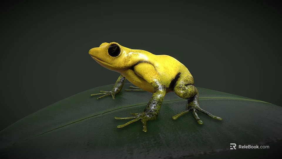 Vibrant Yellow Reptile With Black Eyes Standing On Green Leaf Close Up 3d model 