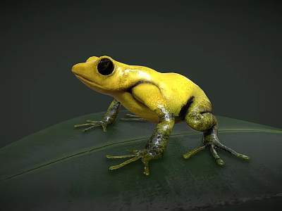 Vibrant Yellow Reptile With Black Eyes Standing On Green Leaf Close Up 3d model