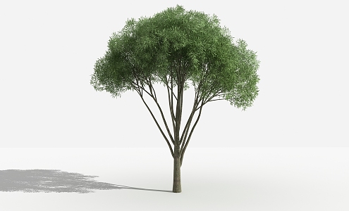 Modern Tree Sweat Willow 3d model