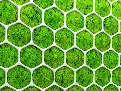 Green Moss Covered Wall with Hexagonal Grid Pattern for Modern Interior Decor 3d model