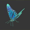Colorful Blue Purple Metallic Butterfly With Shiny Reflective Wings Against Dark Background